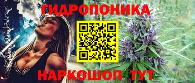 МДПВ Новокубанск